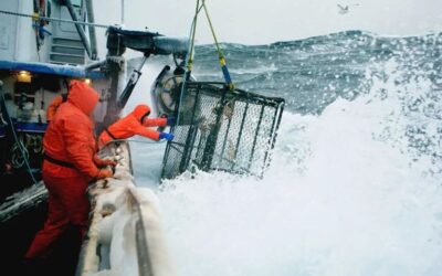 EU Sea Fisheries Social Partners: Advancing Social Sustainability