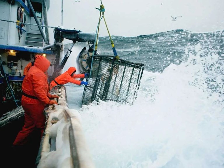 EU Sea Fisheries Social Partners: Advancing Social Sustainability