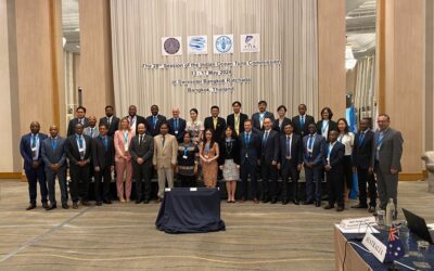 Levelling the Playing Field: Europêche Tuna Group Urges IOTC to Strengthen Monitoring, Control and Surveillance