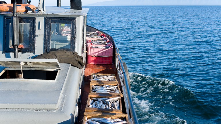 The fishing sector joins forces with the international community to call for wide ratification of ILO C188