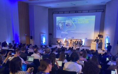 Europêche leads global efforts to decarbonise the fishing sector