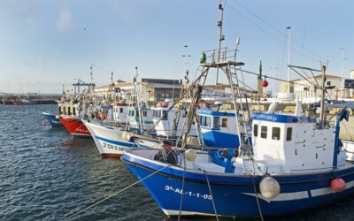 Europêche management team re-elected by acclamation
