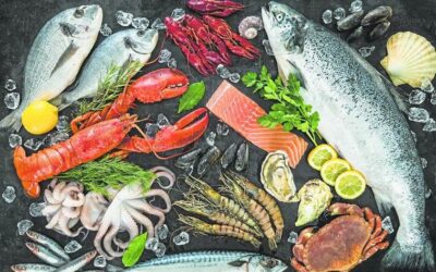 Europêche calls for sustainability conditions in EU fish import tariff regime