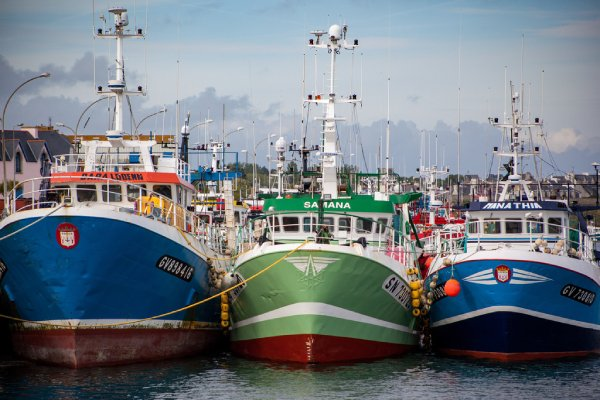 Europêche calls for a targeted revision of the CFP following Commission evaluation