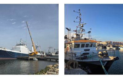 New scientific study highlights that fisheries footprint is not a matter of size, “large and small can be beautiful”, it is a matter of appropriate management