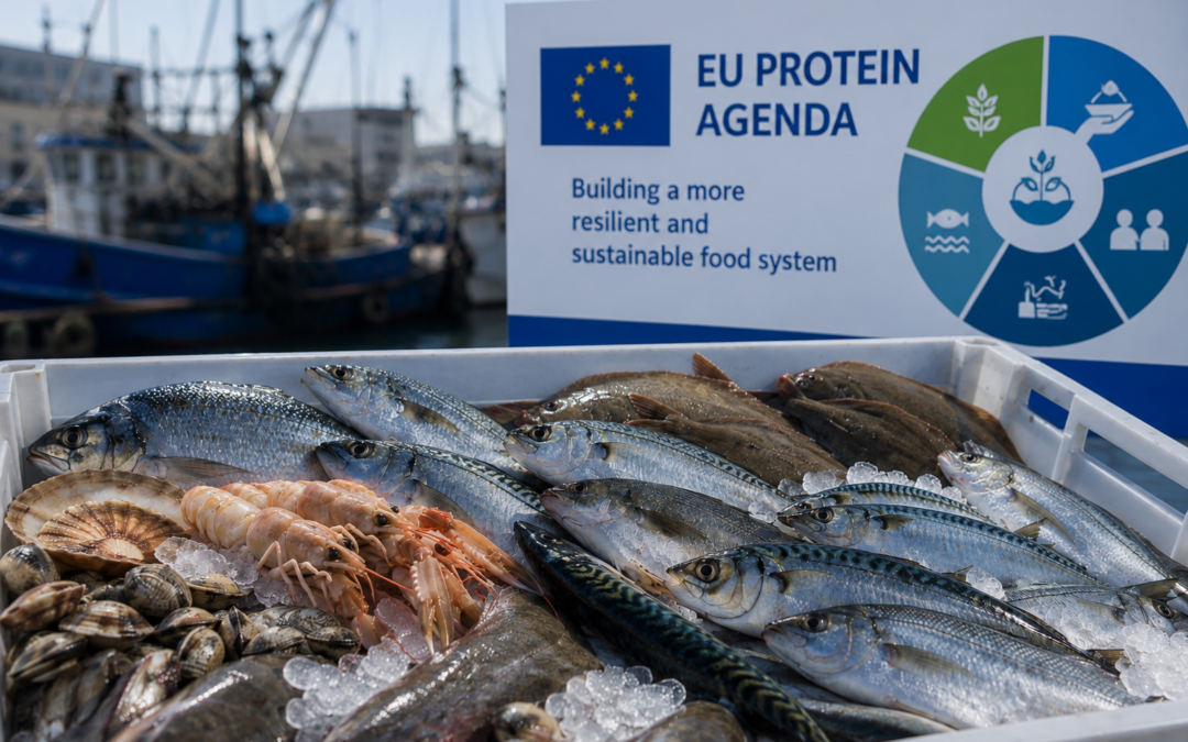 EUSeA regrets exclusion of aquatic foods from EU protein agenda