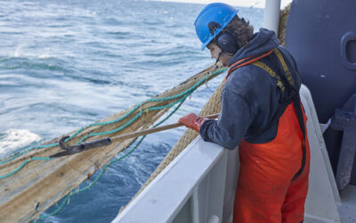 Europêche welcomes the Danish Pelagic Producers Organisation (DPPO) as New Member